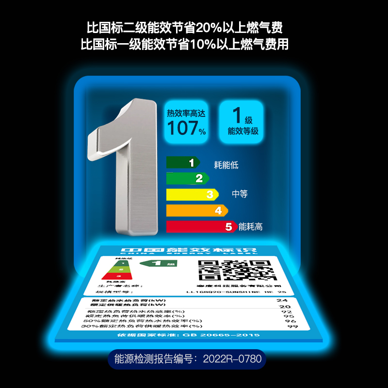 賽度意大利原裝進(jìn)口壁掛爐 HE